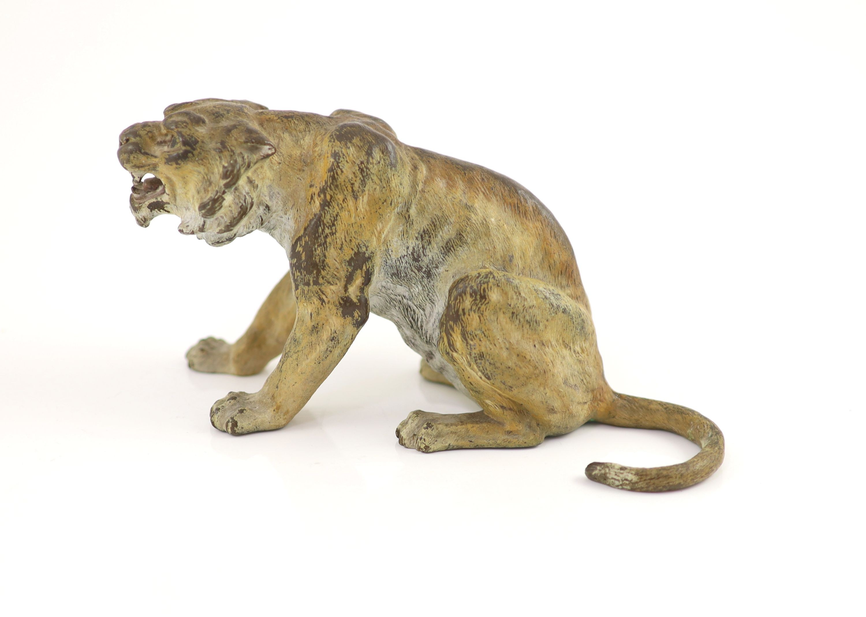 A Franz Bergman cold painted bronze model of a snarling tiger H 10cm. L 19cm.